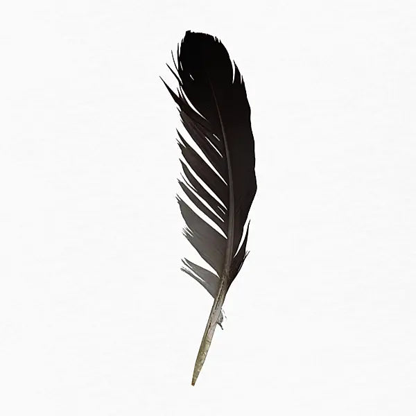 Feather